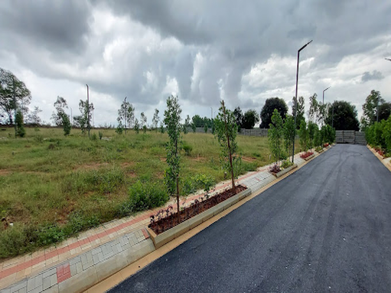 Living Green