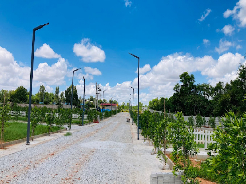 Living Green