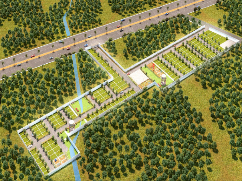 Living Green