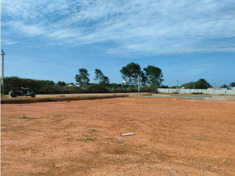 Shelter Shasman Grove Layout