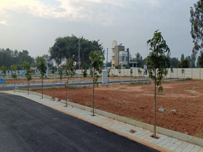 Plots for sale in Ambika Daffodills