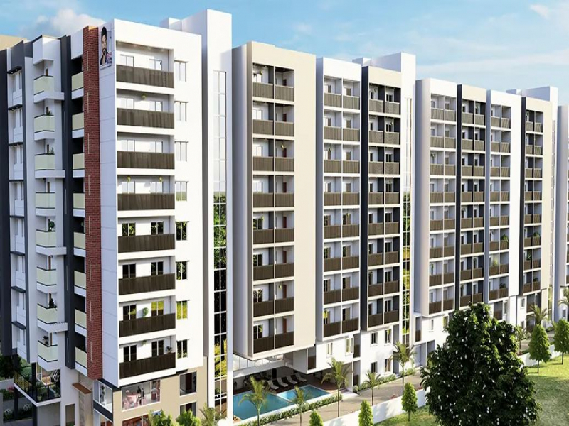 DS Max SkySanjeevini