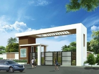 Plots for sale in Coconut Groves