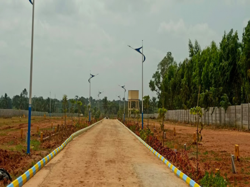 Nandi Garden