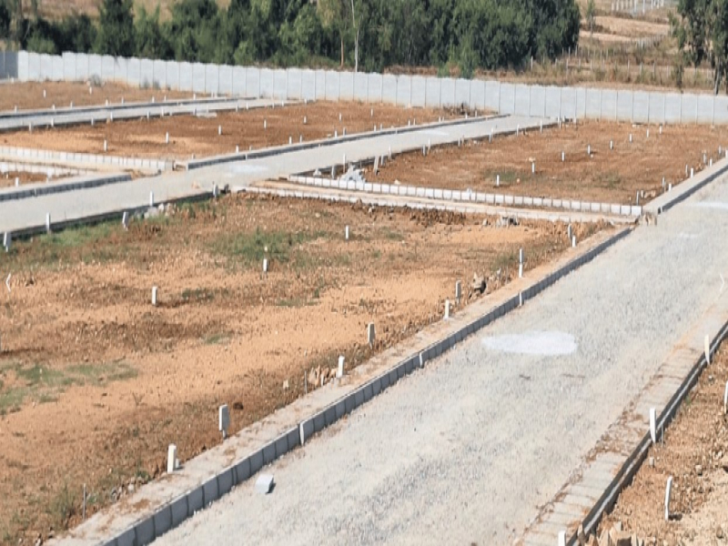 CS YT Green Valley