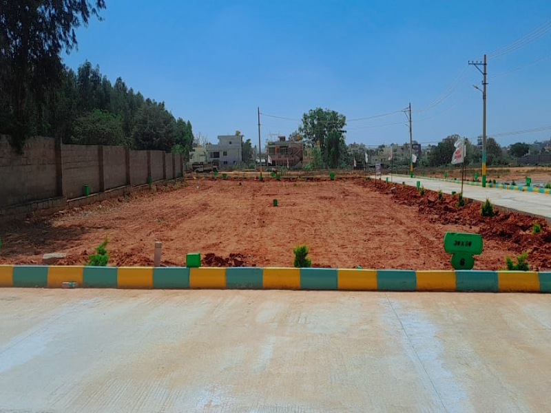 Oraiyan Fin City