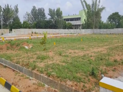 Aishwarya Vaishno Green County