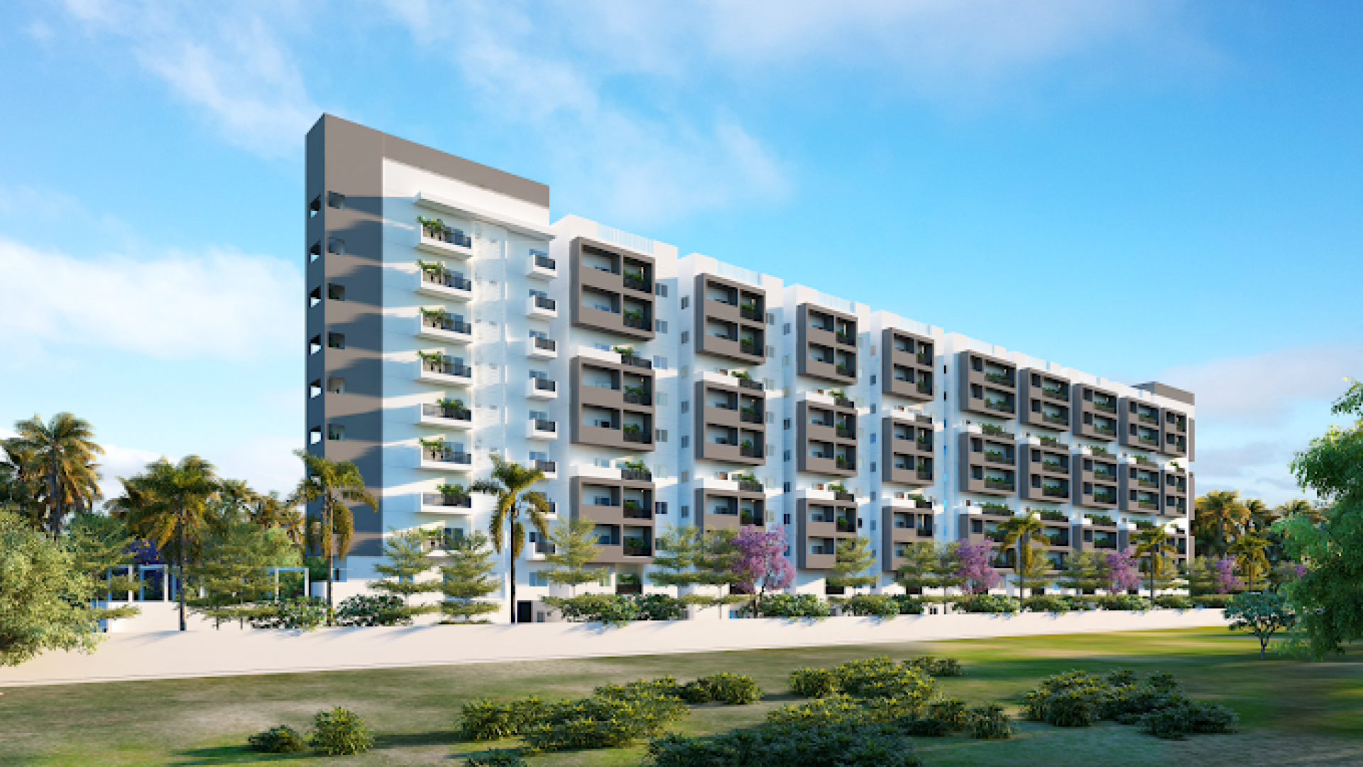 Platinum East Woods