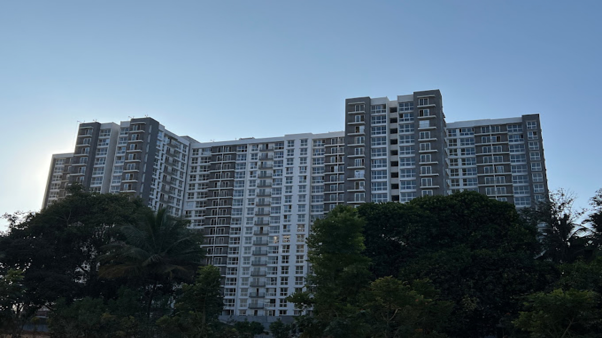 Manasum Banyan