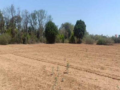 1200 - 2000 Sqft Land for sale in Doddaballapur