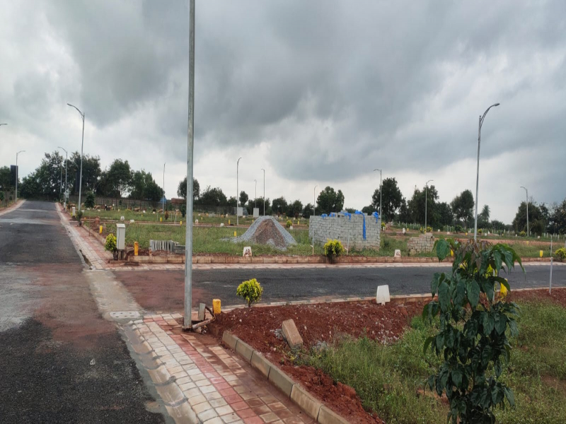 Nesta Surya Enclave