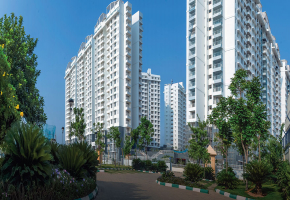 Purva Palm Beach