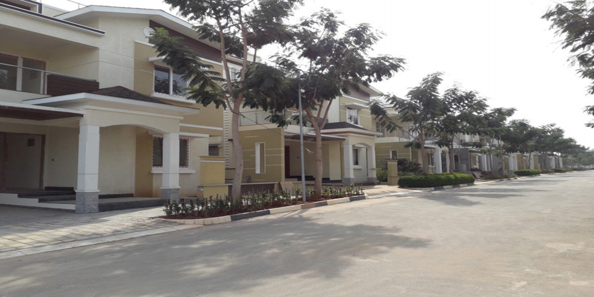 NCC Urban Green Province