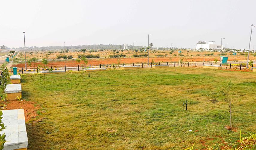 Salarpuria Sattva Pipal Tree