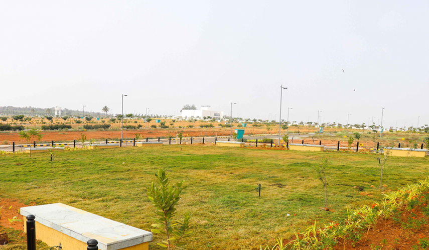 Salarpuria Sattva Pipal Tree