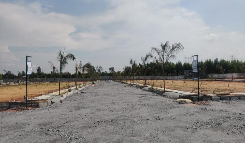 Privilege Green Groves