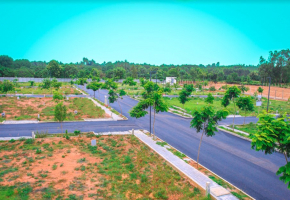 Plots for sale in Sizzle Evergreen