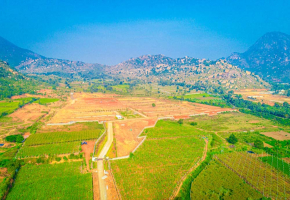 NBR Hills View