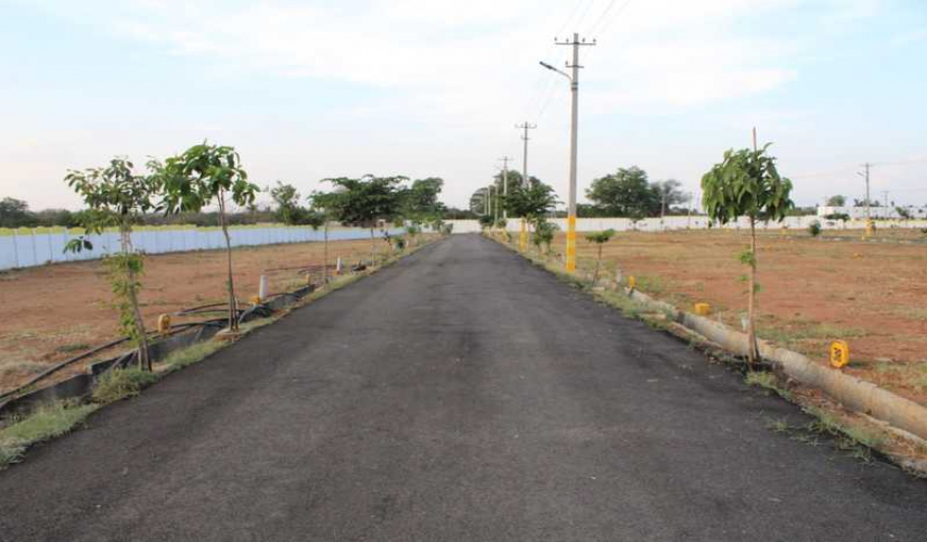 NS Vihar Township