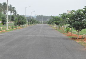 Blue valley North Town