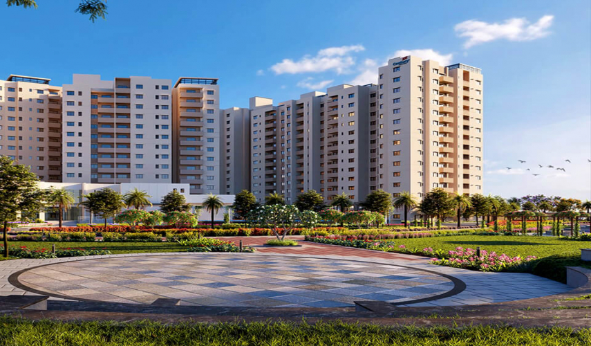Century Breeze