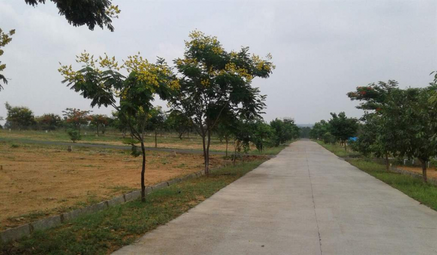 NBR Green Valley