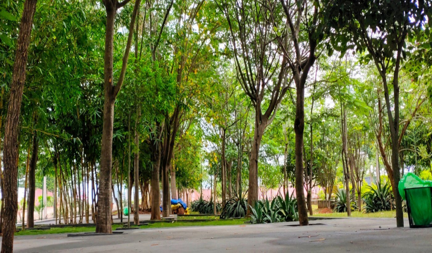 NBR Green Valley