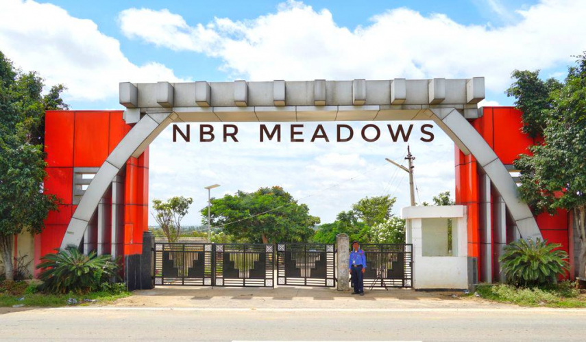 NBR Meadows