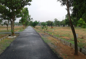 Plots for sale in NBR Meadows