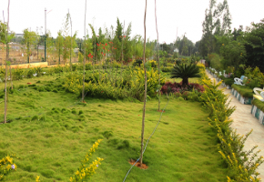 NBR Meadows