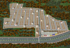 NBR Meadows