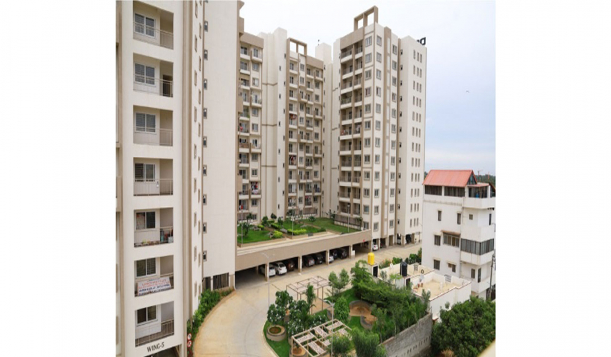 DSR Waterscape