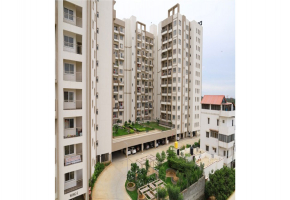 DSR Waterscape