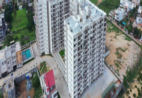DSR Waterscape
