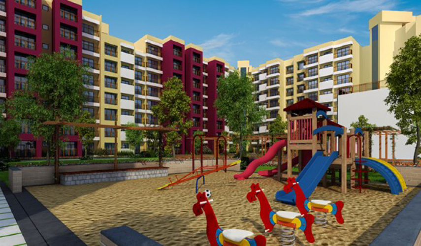 Siroya Sunshine