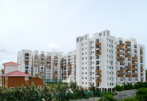 SMR Vinay Estella