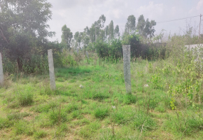 1470 Sq.Ft Land for sale in Bagalur