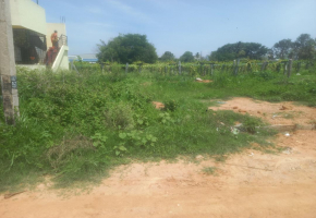 1971 Sq.Ft Land for sale in Hunasamaranahalli
