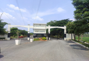 2000 Sq.Ft Land for sale in Jigini Anekal Road