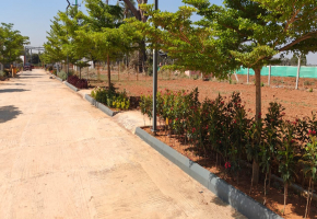 1200 Sq.Ft Land for sale in Anekal