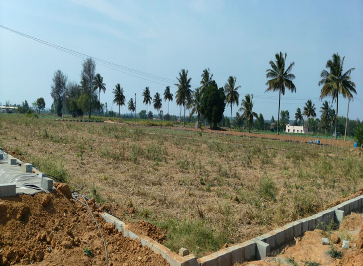 24 Guntha, Agricultural farm land for sale in Hoskote