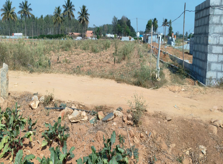 24 Guntha, Agricultural farm land for sale in Hoskote