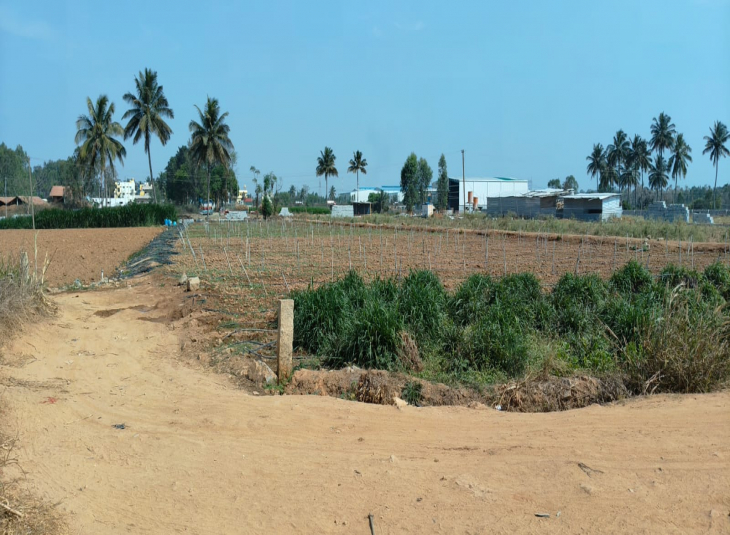24 Guntha, Agricultural farm land for sale in Hoskote