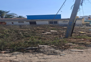 784 Sq.Ft Land for sale in Bannerghatta Jigani Road